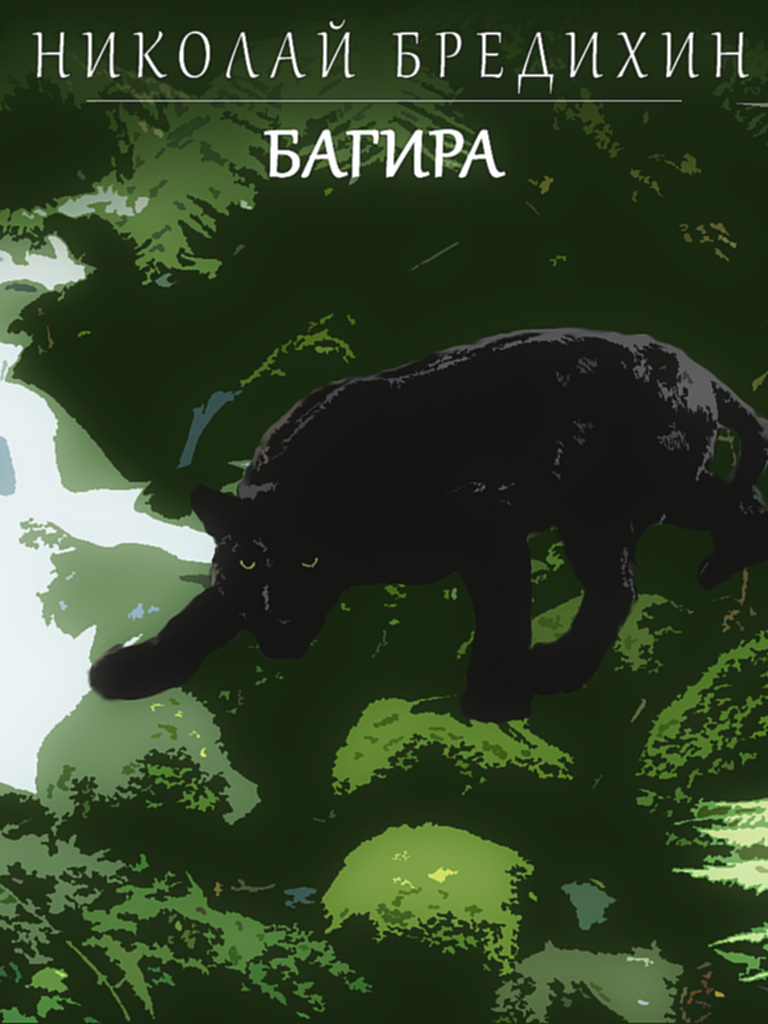 Cover of Bagheera